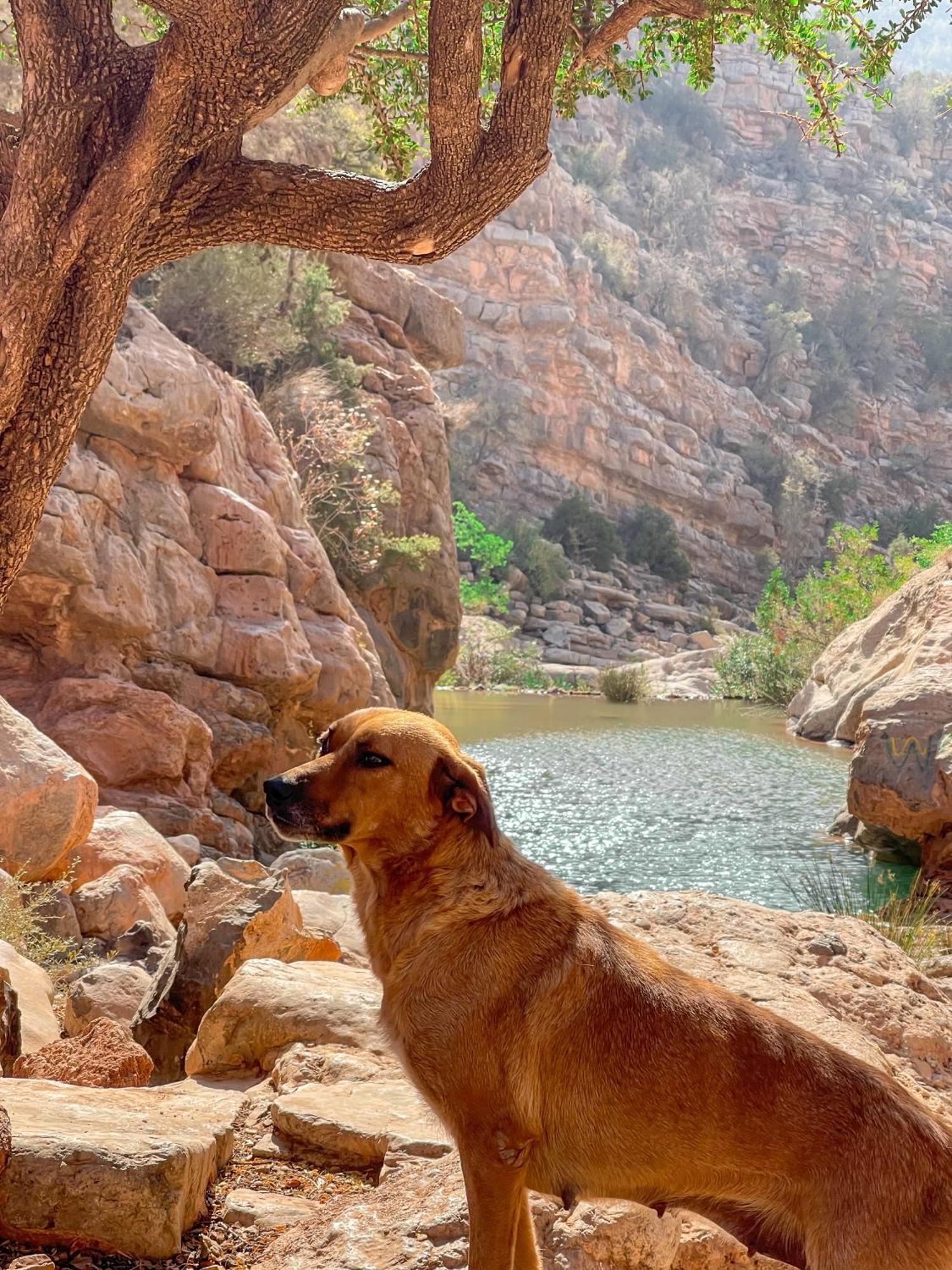 Tifrit Maison D'Hotes-Paradise Valley Imouzzer Ida Ou Tanane Bagian luar foto